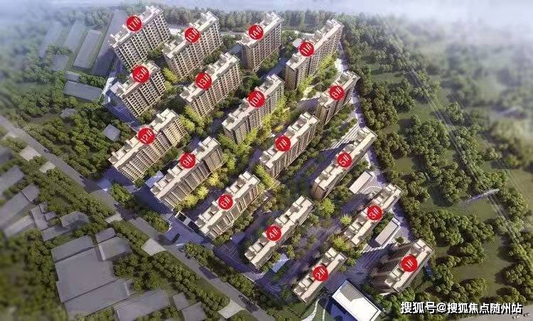 内丘县城最新招聘信息概览