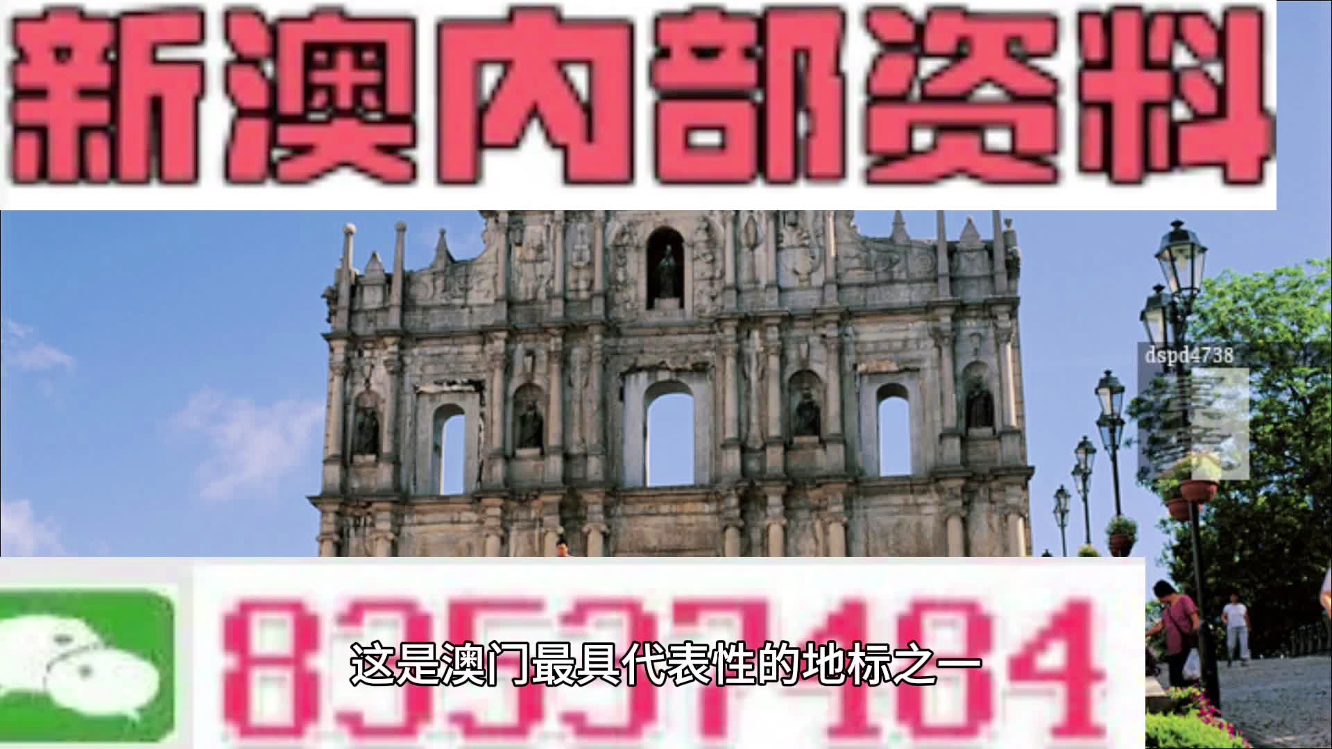 大三巴免费资料一肖，全面释义与落实解读