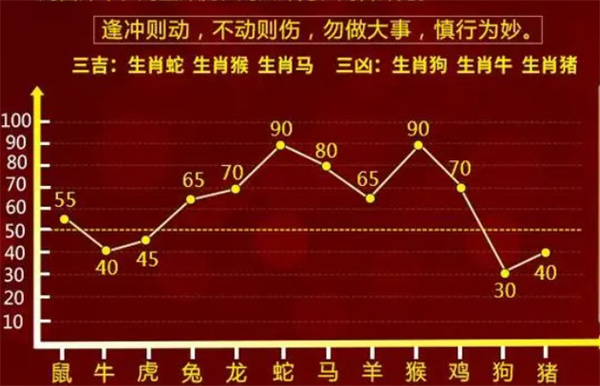 一肖一码一一肖一子在深圳，精选解析、解释与落实