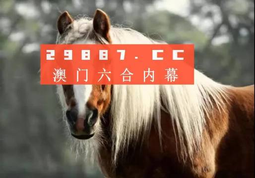澳门一肖一码一必中一肖精华区，解析关键词背后的含义与现实应用