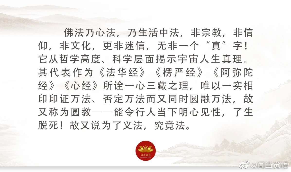 一肖一码一一肖一子善，全面释义与落实之道