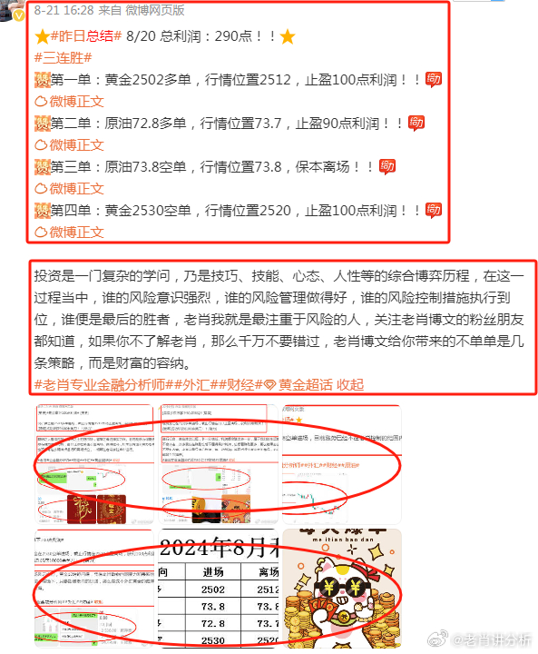 香港最准的100%肖一肖，精选解析、深度解释与落实